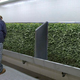 Image for article titled Wrigley Field Removes Iconic Ivy From Urinal Troughs
